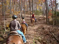 riding in the fall