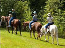 riding in the Spring