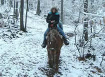 single rider on a winter trail